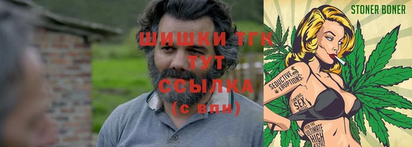 таблы Ельня