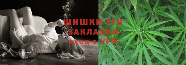 таблы Ельня