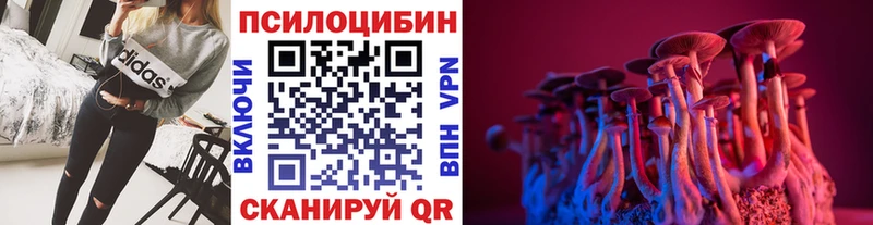 Галлюциногенные грибы Cubensis  Плёс 